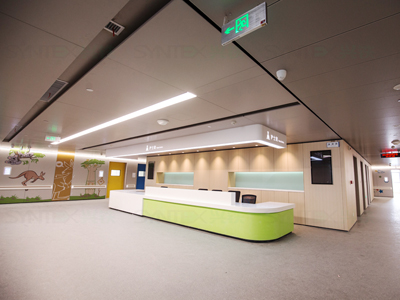 醫用鋼制復合墻板(烤漆/木紋膜)